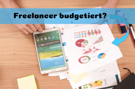 Freelancer in der IT-Budgetplanung